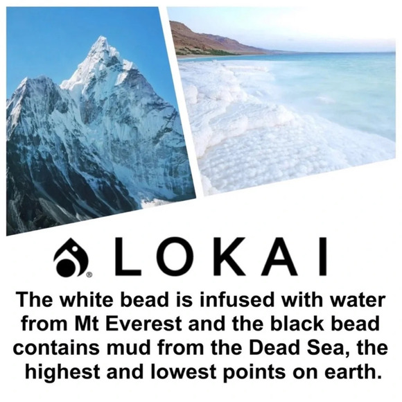 Pride Lokai Beam Unisex Size XL New With Tags - Picture 6 of 12